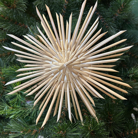 Strahlenbinsenstern
