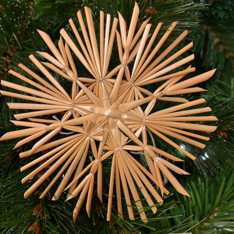 Strahlenstern mit Ästen